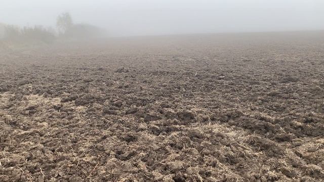 ДВА ВЫЕЗДА|КОП С МЕТАЛЛОИСКАТЕЛЕМ|Metal Detecting