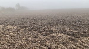 ДВА ВЫЕЗДА|КОП С МЕТАЛЛОИСКАТЕЛЕМ|Metal detecting