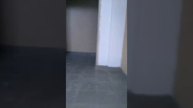 Вся правда о стройке ЖК Молодежный квартал от 18.11.17 2 подъезд. смотреть онлайн