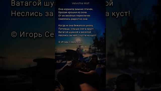 Северянин Игорь - Она кормила зимних птичек... #стихи #поэзия #shorts