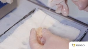 BEGO VarseoSmile TriniQ Workflow EN