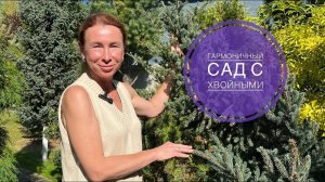 ГАРМОНИЧНЫЙ САД С ХВОЙНЫМИ