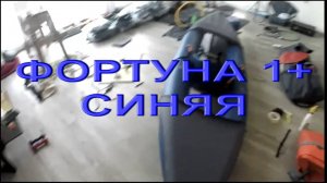 Фортуна 1+ синяя, маленький отчет