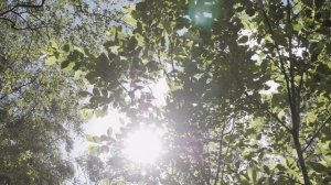 COLORKER коллекция HILLS