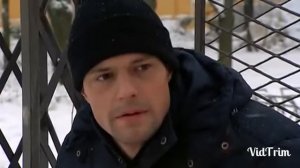 Log dog - фонари