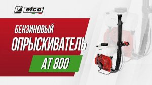 Бензиновый опрыскиватель Efco AT 800