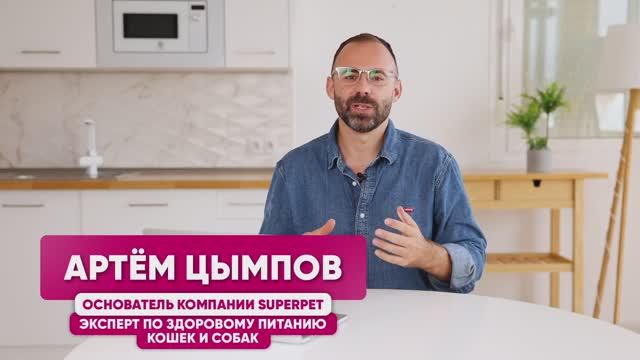 Худший рацион питания для кошек