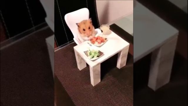 На двоих