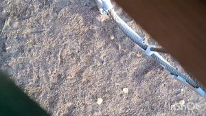 санёчек и богатая жизнь