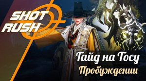 Black Desert / BD: Гайд на Тосу (в ПВЕ - Пробуждение) от 28.10.24