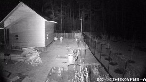 Hikvision Darkfighter DS-2CD4026FWD-A + Tamron F1.2, ИК вкл., выдержка 1/250, ч/б