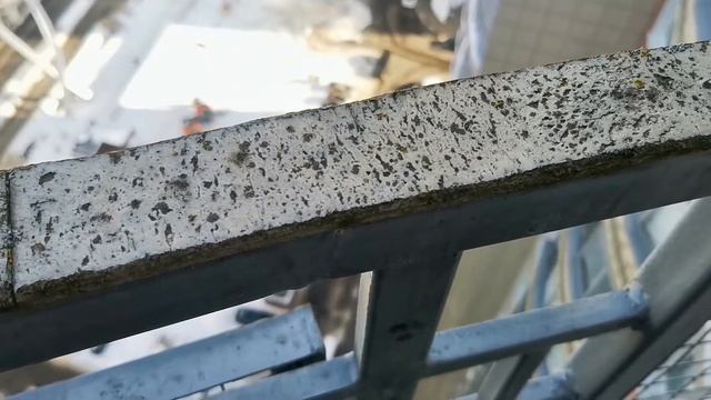 Пробковый пол 8 лет на улице в общественном месте. Лучший краш тест пробки!