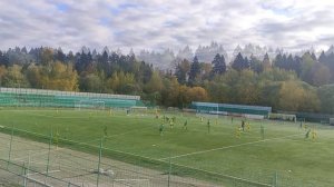 Спутник - Москвич 2010 г.р.