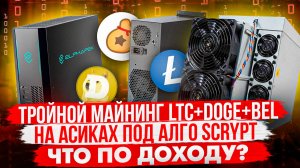 ТРОЙНОЙ МАЙНИНГ LTC+DOGE+BEL НА АСИКАХ ПОД АЛГО SCRYPT | ЧТО ПО ДОХОДУ?