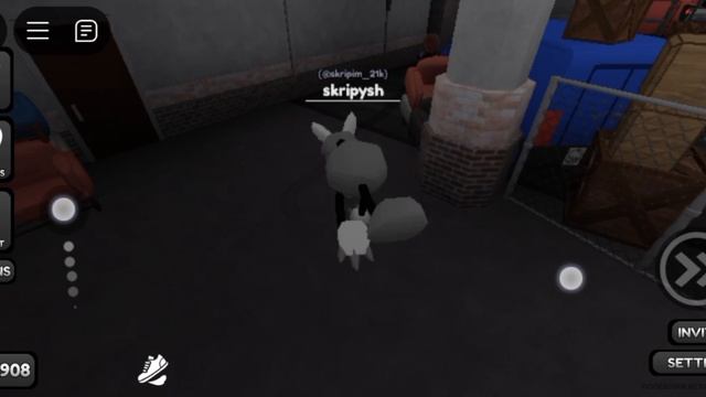 пебла разозлился 😨😨😨😨😨😨
