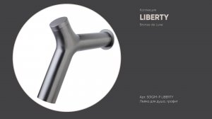 Лейка для душа Y-форма 501GM-P LIBERTY Bronze de Luxe, графит