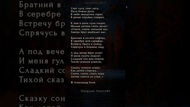 Александр Блок #стихи #поэзия #shorts