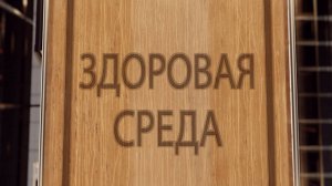 ЗДОРОВАЯ СРЕДА МИНЕРАЛОВОДСКИЙ РОДДОМ