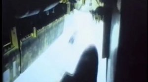 Fatboy Slim - Sunset | Bird Of Prey