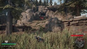 Days Gone: Bear Greek Hot Springs Horde