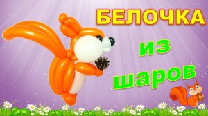 Белочка из шаров. Мастер класс. Balloon squirrel. Balloons. DIY. Hand made. How make. Master class.