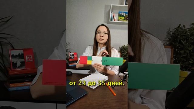 Что такое менструальный цикл? Из чего он состоит?