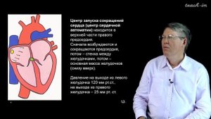 Дубынин В. А. - 100 часов школьной биологии - 1.6. Сердце