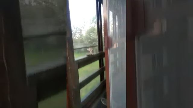 Установка москитных сеток на террасе