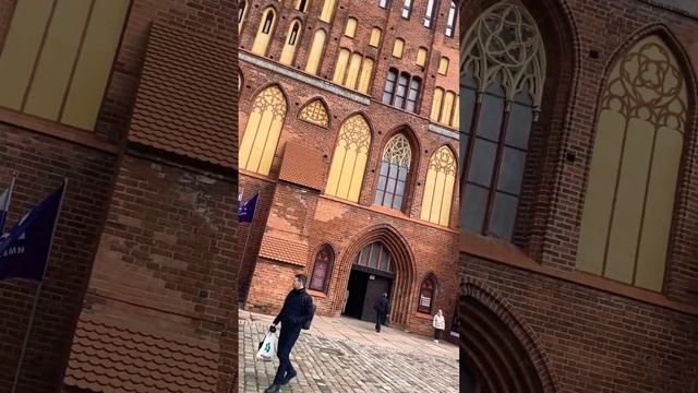 СОБОРна ОСТРОВЕ КАНТА #кант #собор #остров #островканта #супер #красота #калининград #kaliningrad