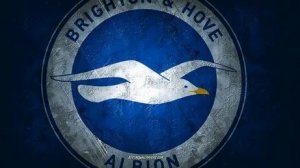 КАРЬЕРА ЗА BRIGHTON #2 СТАЛ ГЛАВНЫМ ТРЕНЕРОМ СБОРНОЙ ПОЛЬШИ?