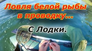 Как наловить рыбу на таранку . Ловля белой рыбы в проводку. поплавочная удочка в проводку .рыбалка