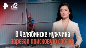 В Челябинске мужчина зарезал поисковую собаку