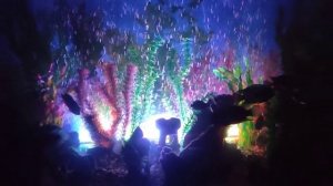 подсветка