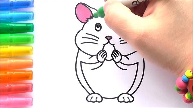 Хомяк Раскраска для Детей Рисуем Раскраски для Малышей // Hamster for Kids Coloring for Toddlers