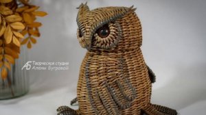новая сова