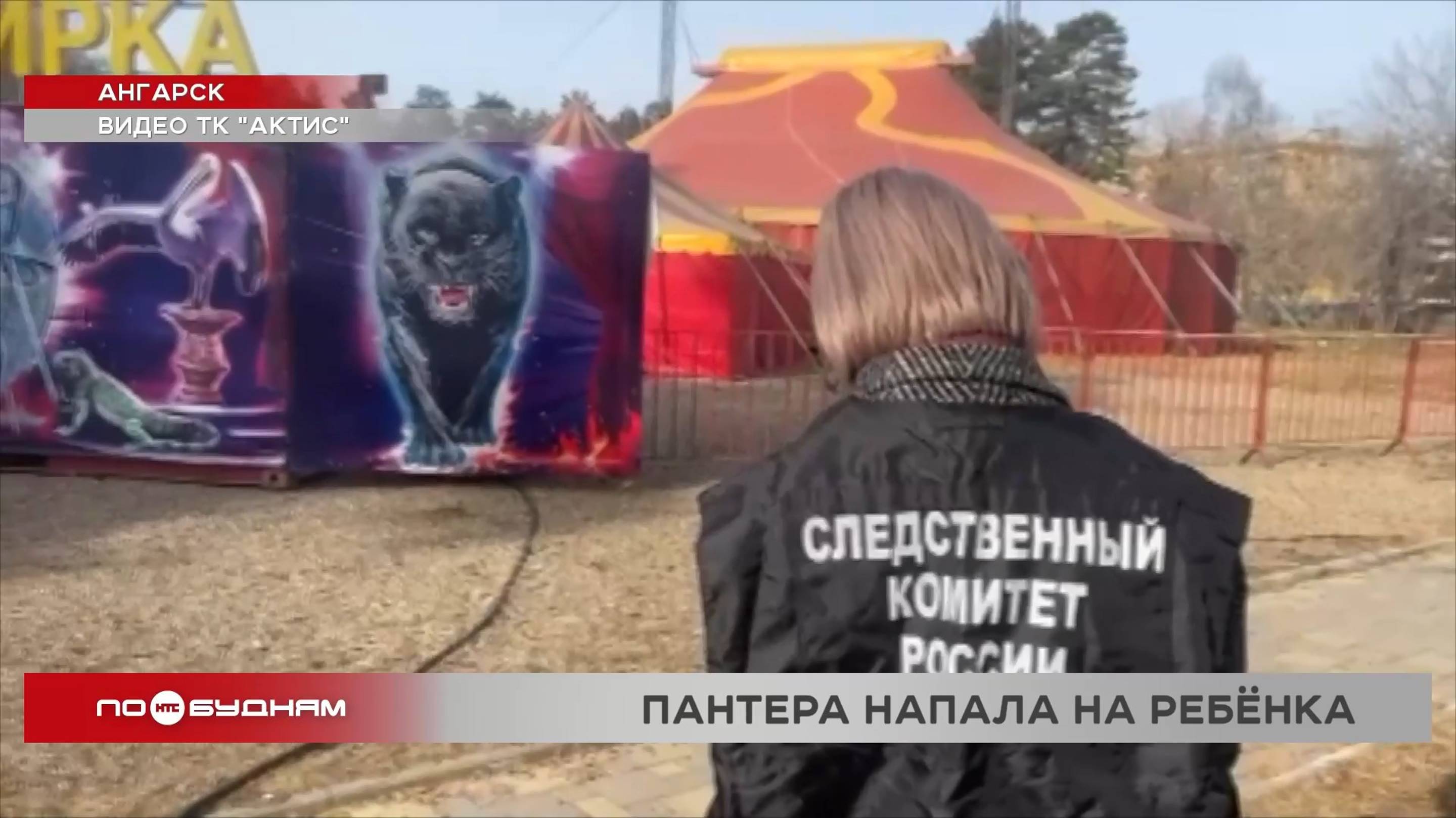Цирковая пантера напала на ребенка. Цирковая пантера напала на ребенка. Цирковая пантера напала на ребенка. Цирковая пантера напала на ребенка. Цирковая пантера напала на ребенка.