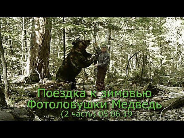 Поездка к зимовью Фотоловушки Медведь (2 часть) 05 06 19