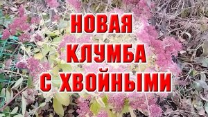 Продолжаю делать новую клумбу с хвойными