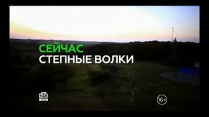 Клип по сериалу "Степные волки".