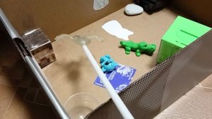 2 серия 1 сезона 蜘蛛人團隊與石頭之謎 сейф.