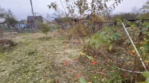 видео дача в Пионерском