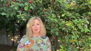 Что я наделала! И о том, как мне помогли Подписчики. Ответы на вопросы.