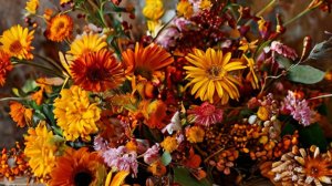 Добрый вечер! Приятного, уютного, Вам вечера!