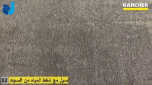 Моющий пылесос Karcher SE 4001