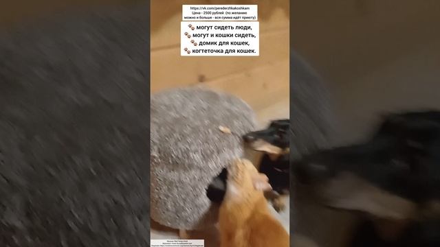 пуфик: мебель для дома и котиков 🐾