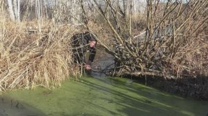 Охота на бобра. Проходные капканы.
