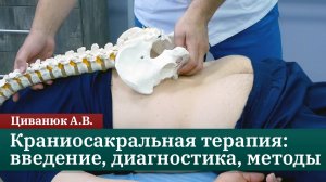 Краниосакральная терапия: введение, диагностика и методы коррекции. Циванюк А.В.