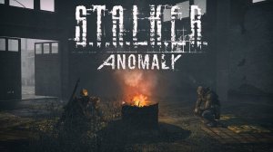 Stalker Anomaly.Выживаем в Зоне Отчуждение.