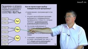 Дубынин В. А. - 100 часов школьной биологии - 1.28. Мышление и принятие решений