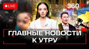 Украинские наемники в Грузии. Стрельба в Красногорске. Пантера напала на ребенка в Ангарске. Стрим